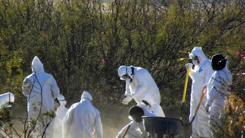 Authorities find 12 bodies in clandestine graves in northern Mexico | Human Rights News