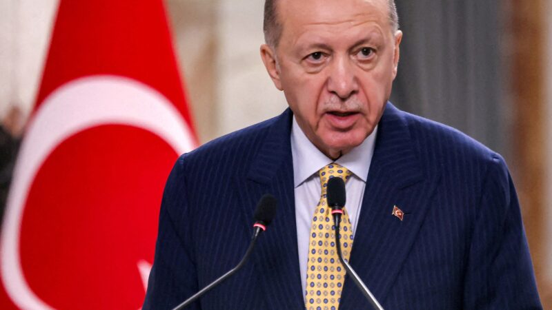 Erdogan says YPG ‘will be buried’ in Syria if it doesn’t lay down arms | Syria’s War News