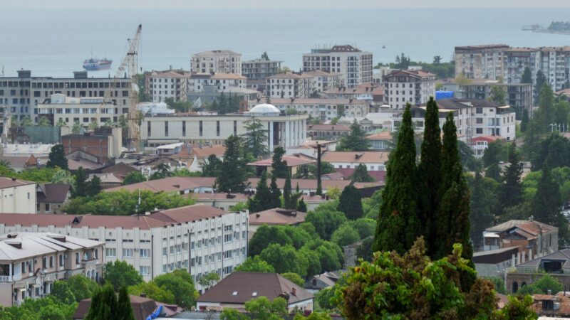 Lawmaker shot dead in parliament in breakaway Georgian region of Abkhazia | Gun Violence News