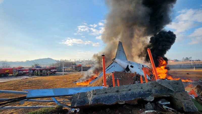 At least 29 killed in S Korea as plane crashes at Muan airport: Report | News