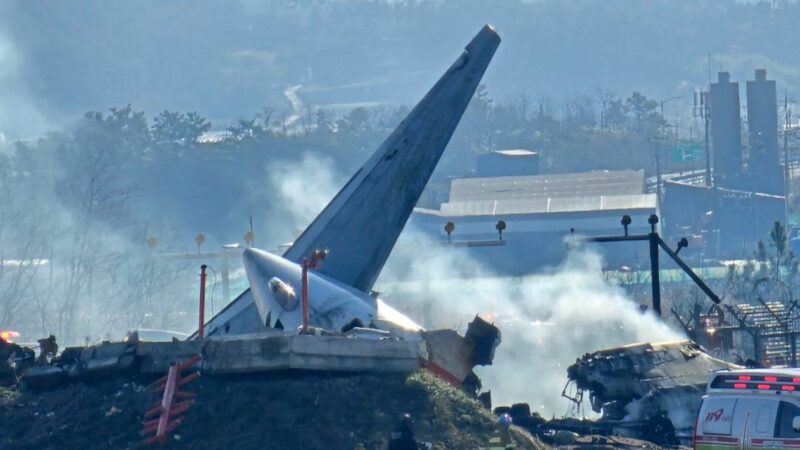 South Korea’s worst-ever plane crash highlights dangers of bird strikes | Aviation News