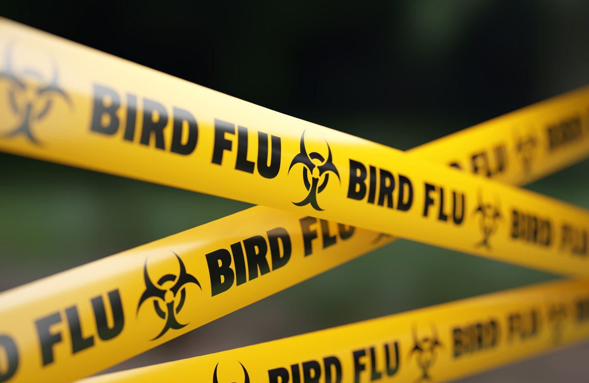 Michigan counties report additional bird flu outbreaks