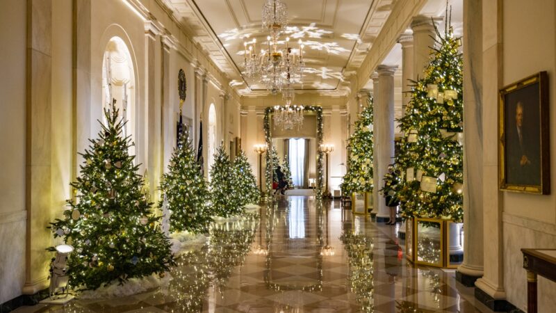 Theodore Roosevelt didn’t display a White House Christmas tree while in office, but why?