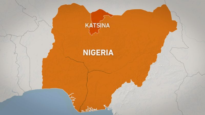 Bandits in Nigeria ambush and kill 21 government-backed fighters | Conflict News