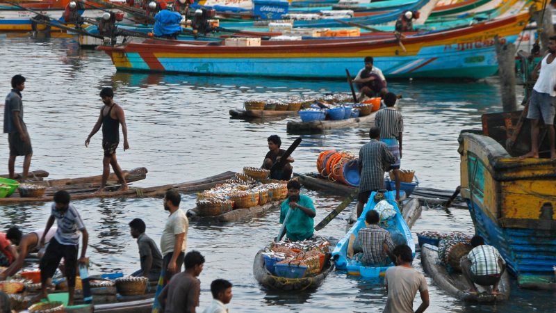 ‘Treat us like humans’: Fishing wars trap Indians in Sri Lankan waters | Climate Crisis