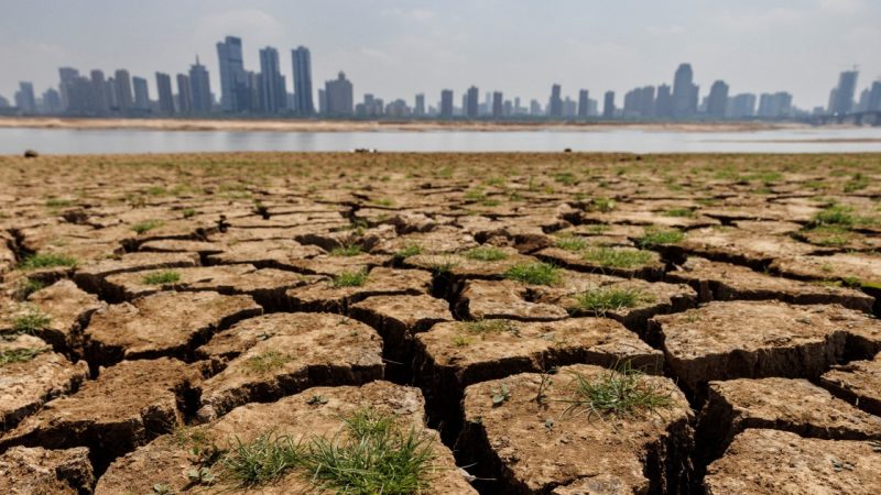 Weather agency says China experienced hottest year on record in 2024 | Climate News