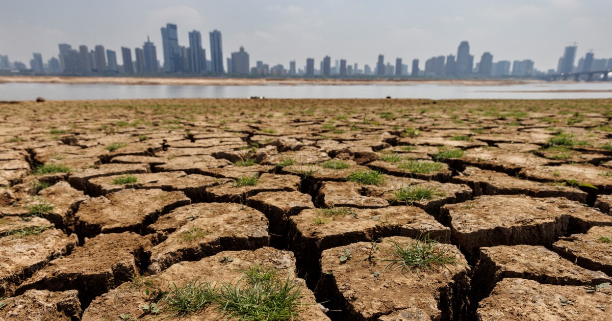 Weather agency says China experienced hottest year on record in 2024 | Climate News