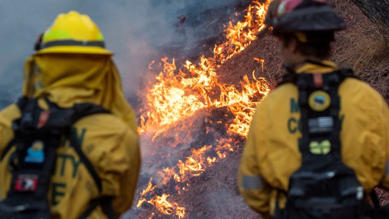 Before and after photos show scale of destruction from LA wildfires | Climate Crisis News