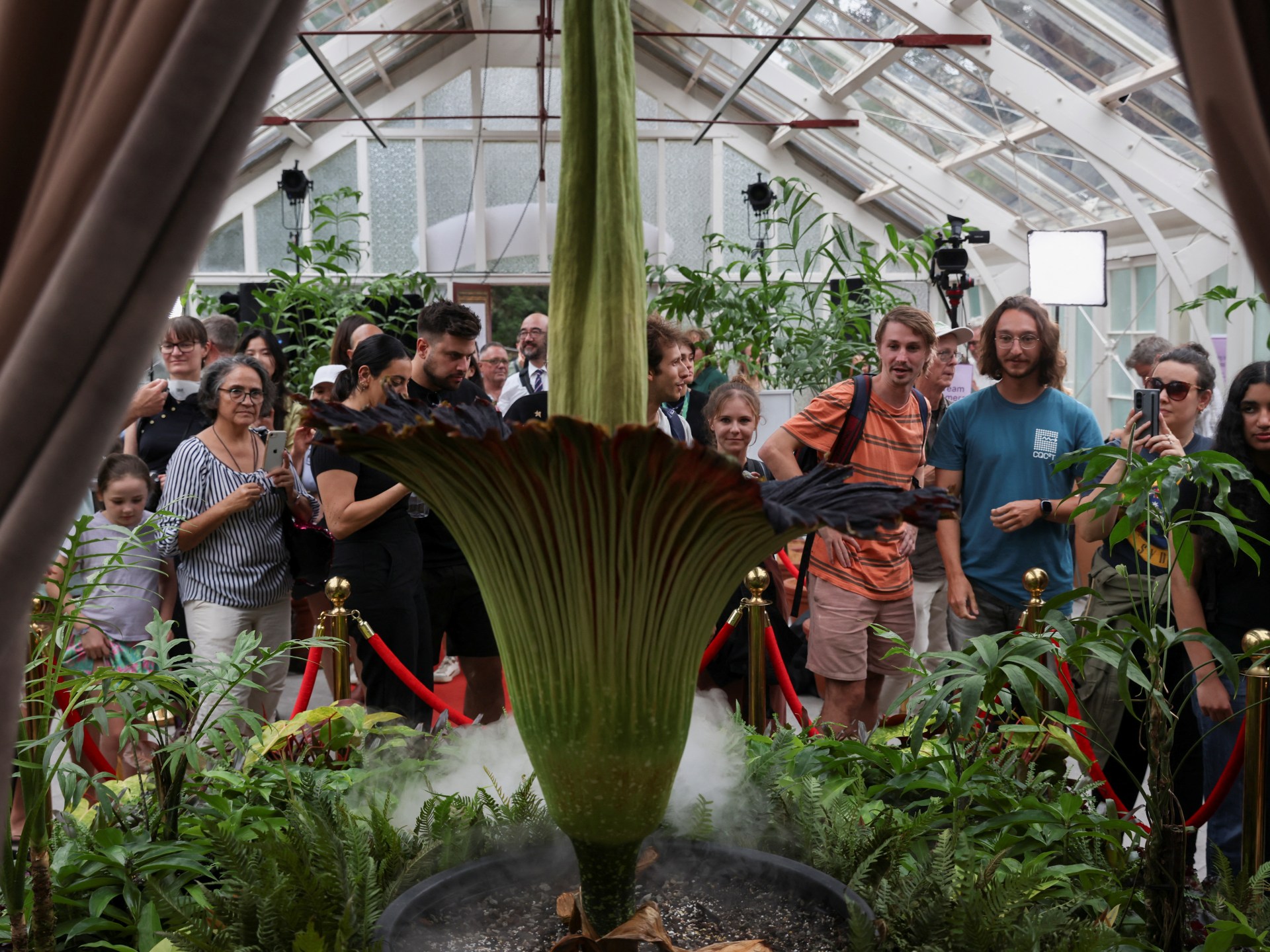 Thousands flock to smell plant that reeks of dead rat, rotting rubbish | Environment News