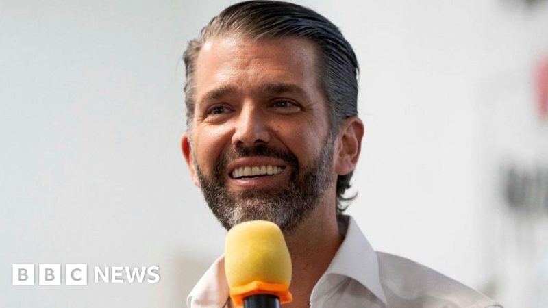 Trump Jr to visit Greenland after dad says US should own the territory