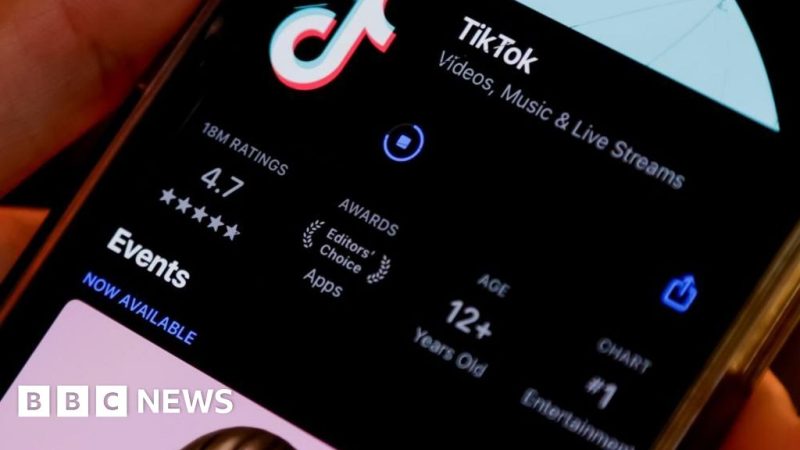 Trump says he will ‘most likely’ give TikTok 90-day reprieve from ban