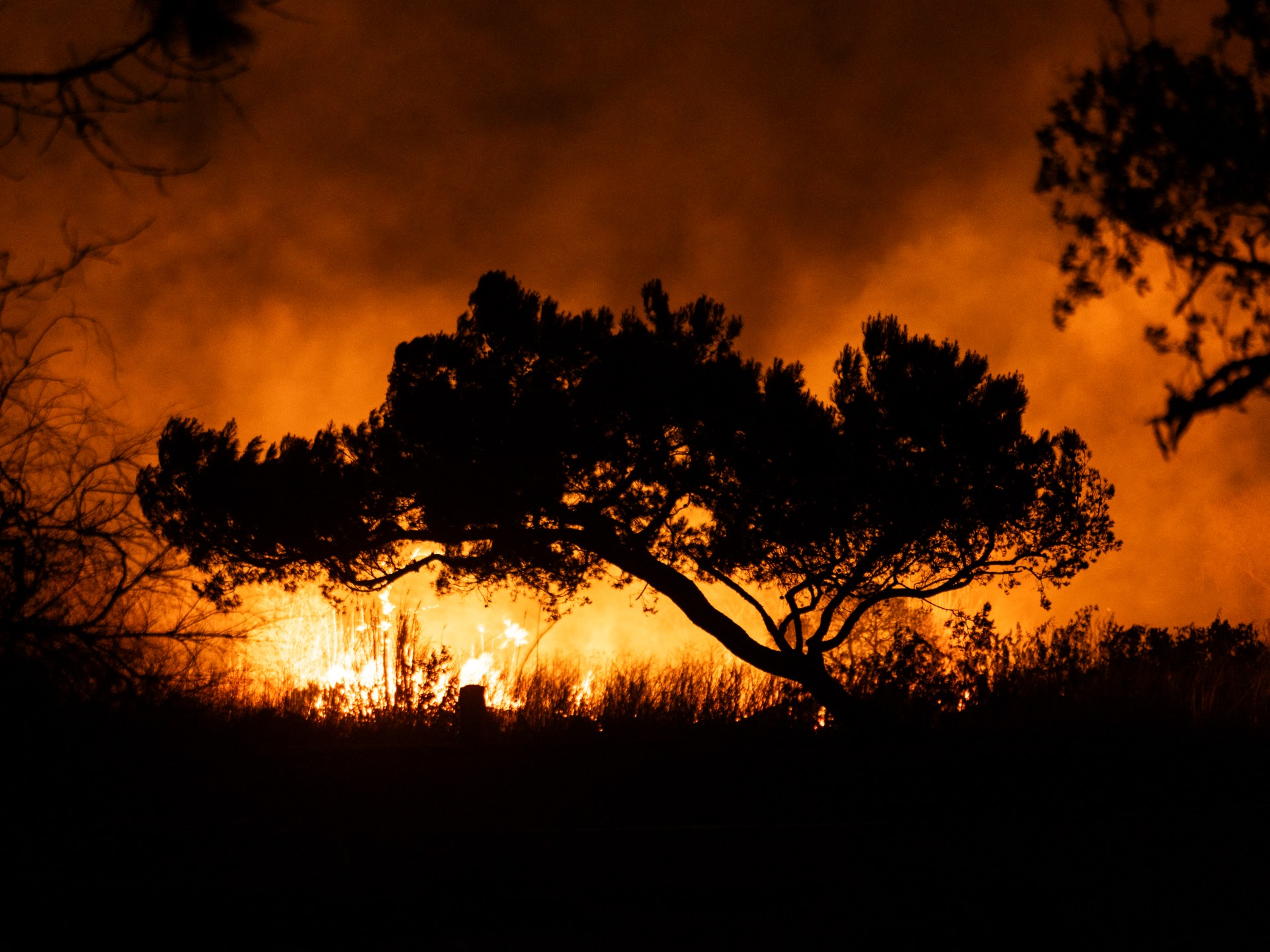 What to know about the LA Fire Department’s budget | Climate Crisis News