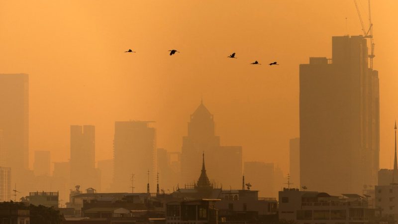 Air pollution in Thailand’s Bangkok forces more than 350 schools to close | Environment News