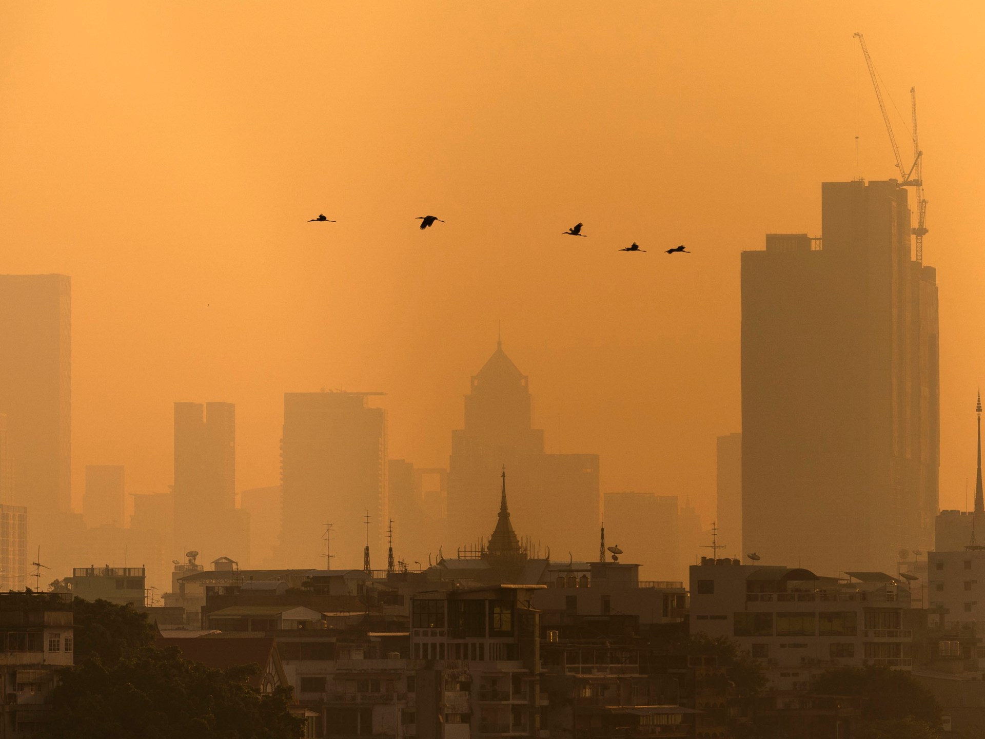 Air pollution in Thailand’s Bangkok forces more than 350 schools to close | Environment News