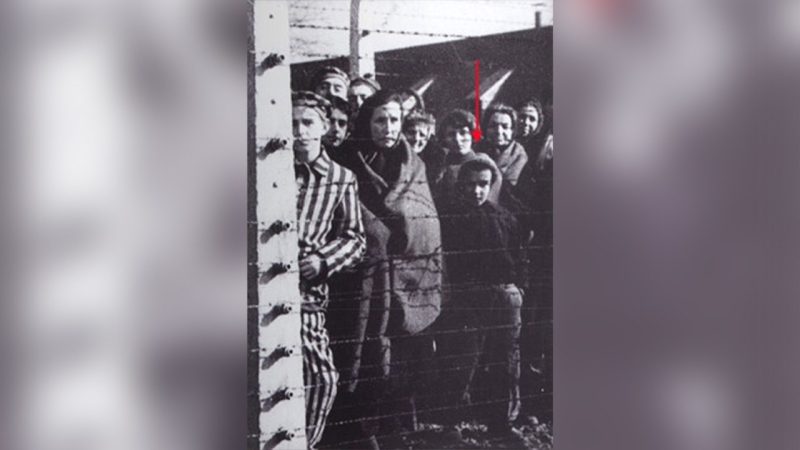 Auschwitz 80 years since liberation: Ryszard Horowitz’s story of survival and making the American Dream