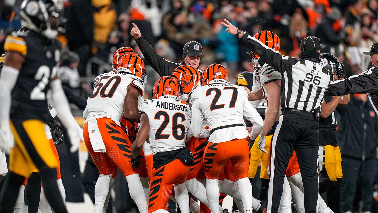 Bengals defense steps up to keep slim playoff chances alive in season finale