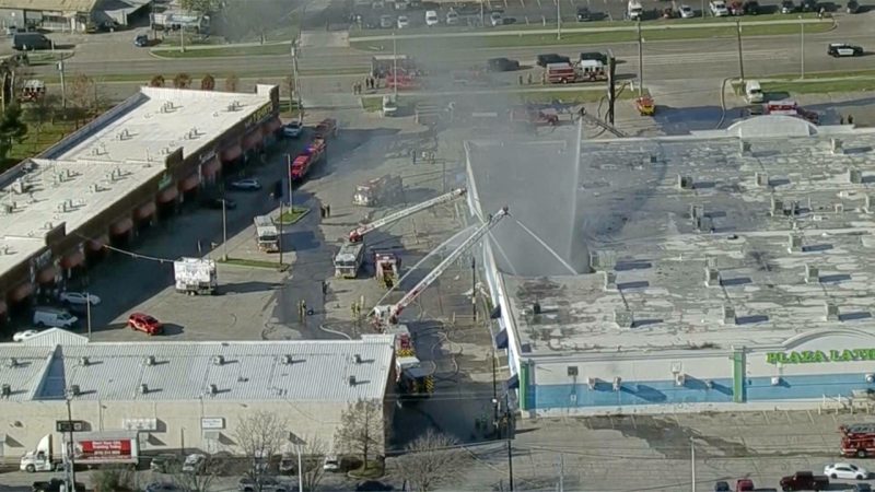 Hundreds of animals killed during Texas shopping center fire