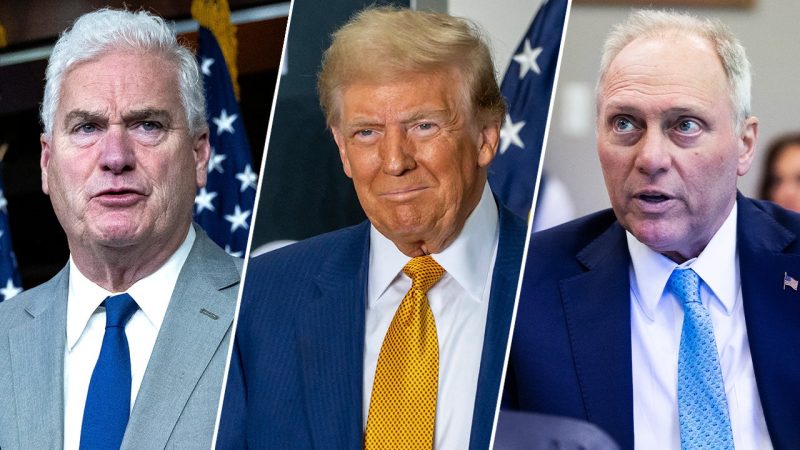 ‘New Golden Age’: Republican lawmakers ecstatic as Trump takes office with slate of new orders