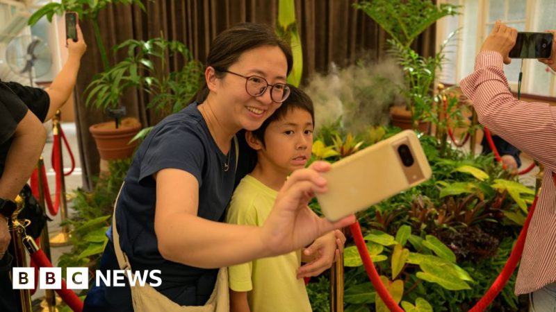 Thousands await corpse plant’s rare bloom