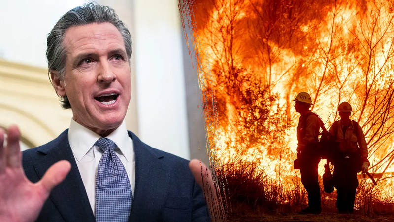 Gavin Newsom deflects criticism of his handling of wildfires, slams Trump