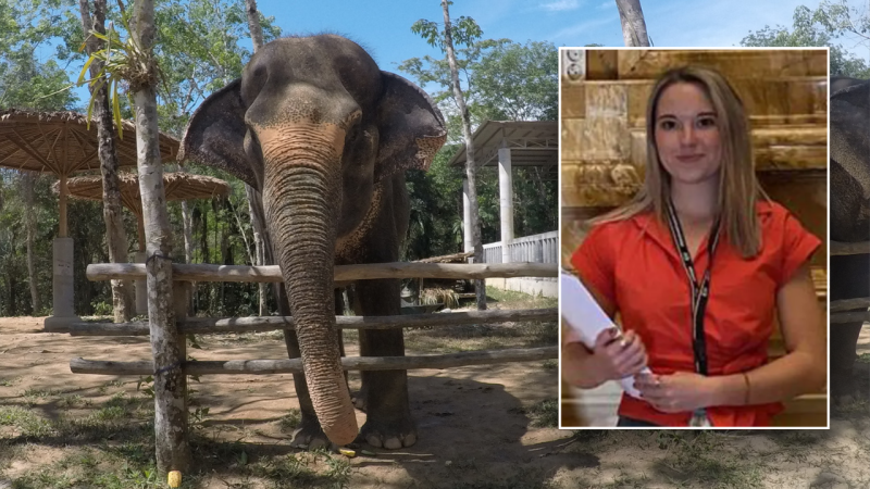 Elephant expert warns tourists after Blanca Ojanguren García’s death in Thailand