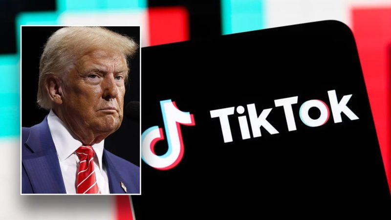 Gen Z influencers thank President Trump for saving TikTok